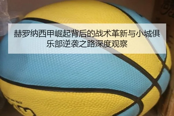 he-luo-na-xi-jia-jue-qi-bei-hou-de-zhan-shu-ge-xin-yu-xiao-cheng-ju-le-bu-ni-xi-zhi-lu-shen-du-guan-cha-2-219.jpg